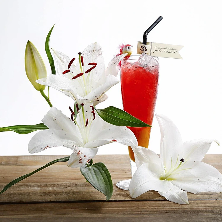 Imagen para instagram Salvador Bachiller